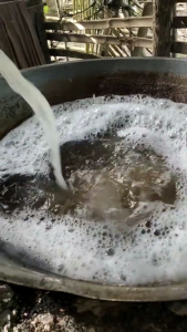 GULA AREN ASLI LEBAK BANTEN