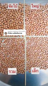 ถั่วลิสง เมล็ดคัดเกรด ไซส์จัมโบ้ / ใหญ่ / เล็ก 1 กก