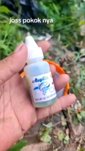 essen mancing mujaer atau nila media lumut atau pelet