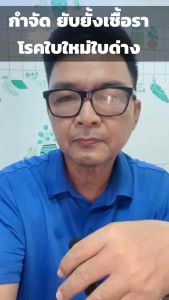 ถูกต้อง 50 สารป้องกันกำจัดโรคพืช รา ราน้ำค้าง โรคใบไหม้