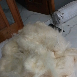 5KG kapuk randu grade A kualitas super bersih putih tanpa biji