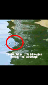 Joran/Rod Fishing Irv Black Ant 2602R-2 6¹ 183CM | Irvan Ikan Channel Joran Ikan Handmade 183 Cm Joran Fishing Medium Power - Lazada