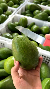 (1 Kg) Alpukat mentega isi 4 - 8 (mentah)