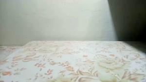 Tusukan Sate Stainless Murah / Tusuk Sate Stainless Steel Isi 50 PCS Miao - 478