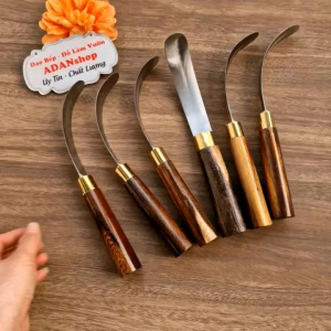 Dao lấy cơm dừa nạy cùi dừa dao thép trắng không rỉ sạch sẽ tiện lợi