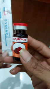 DOPING AYAM suntik paling bagus CHAMPION aduan Juaranya Petarung taji sangat ganas