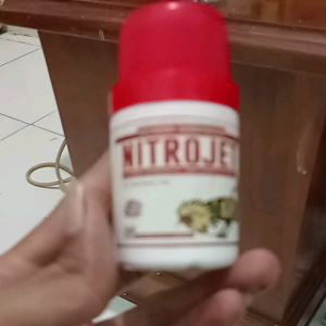 Nitrojet Suplemen Harian Vitamin Ayam aduan petarung Laga Biar Galak