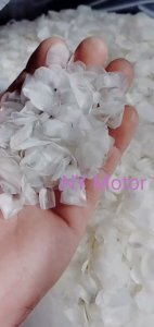 Buatan Rumah Sisik Ikan Siakap Home make 居家自制 野生 鱼鳞片 / 食甲鱼鱼鳞 / 鱼鳞冻 / 胶原蛋白 /Fish Scale /Sisik Ikan Siakap