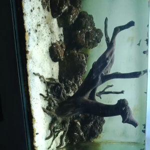 pasir putih ukuran medium No.2 untuk aquascape aquarium 1kg