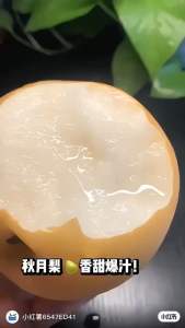 Sweet Autumn Moon Pear Handpicked for freshness – juicy crunchy and full of natural sweetness.