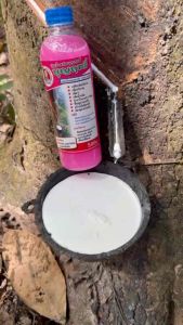 บุญฤทธิ์ 1 ขวด ของแท้100:/: บำรุงหน้ายางปลอดสารเร่ง