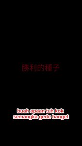 1 Pack (50 Biji) Benih Semangka Raksasa California Non biji Original Import / Benih Semangka Jumbo