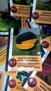 1 Pack (50 Butir) Benih Semangka Raksasa Sunny Non Biji Original Import