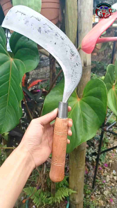 AM19 arit sadap deres kelapa isen sap 3 lapis super asahan wonosobo arab hd