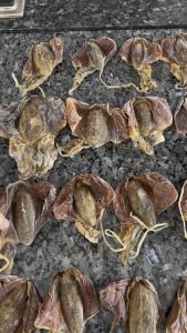 广西特产北海船上淡晒无盐优质小血墨鱼干孕妇补钙乌贼干下奶煲汤六只装