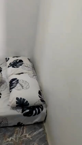 [Promo] SPREI SPRAI 140×200×20 180x200x20  160x200x20  120x200  90x200  1SET SUDUT KARET MOTIF KOTAK-KOTAK AESTETIK KARAKTER CANTIK SPRAI SPREI 1SET SPREI MOTIF BUNGA KOTAK ESTETIK EMILY SERIES BAHAN HALUS ADEM TEBAL Spre Kotak Aesthetic Premium - Lazada