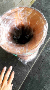 seeng tembaga +kukusan bambu 35x41