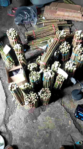 bibit telo PAPUA untuk pakan ternak satu ikat isi 30 batang panjang 20 cm