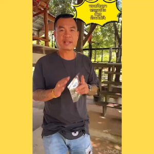 ก้อนไฟป่าไล่นกพิราบ