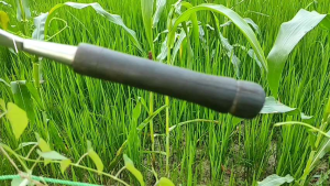 Arit Rumput Super Tajam Cap Bintang 5 Model Melengkung Gagang Hitam / Arit Rumput Full Baja / Arit Rumput Baja Asli Madura / Arit Rumput Ukuran Kecil / Arit Rumput Baja Jawa Timur / Sabit Rumput Full Baja Super