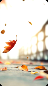 servigell cairan gell untuk aki kering motor 1 liter