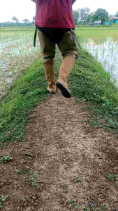 รองเท้าบูทกันน้ำ รองเท้าบูทเกษตรกร