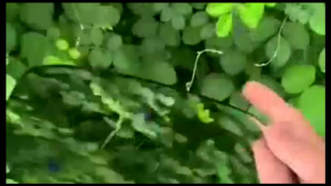 kaca spion honda jazz rs jazz Ge8 2008 2009 2010 2011 2012 2013 original