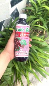 Nước Cốt Dâu Tằm Đà Lạt 500ml 1L - Nước Cốt Trái Cây Đà Lạt Cô Đặc Thơm Ngon Đậm Vị Dễ Pha Chế