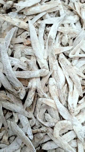Ikan Asin Sangga Langit/Anghue/Jonjan Kering Kualitas premium