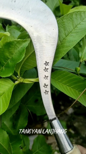 Arit rumput yang paling tajam cap lima bintang / Arit rumput full baja / Arit rumput baja asli Madura / Arit rumput madura super tajam / Arit rumput ukuran kecil / Arit rumput baja jawa timur