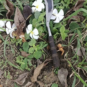 Sabit Rumput Asli Baja Original Madura