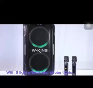 W-KING Portable Bluetooth Speaker with LED Lights and Microphones for Karaoke and Party Use