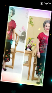 TM 0202 Blouse Genorosity cny import