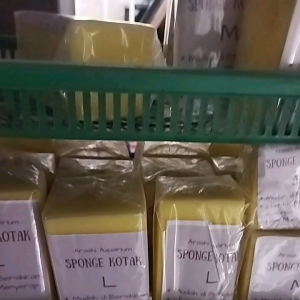 busa kotak filter aquarium