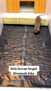 Jebakan / Perangkap Tikus Karpet Panjang 60cm × 27cm & 12m × 27cm Super Lengket Anti Lolos Kualitas Import Praktis Siap Pakai