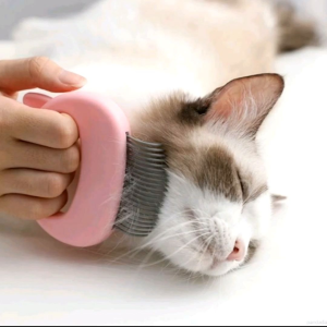 หวีขนแมว - แปรงขนแมว การแปรงที่สางขนแมว