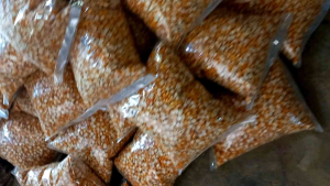 Jagung lokal unggul original pilihan benih jagung 1000 gram