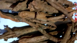 Akar Pinang Segar 500 Gram: Manfaat dan Cara Penggunaannya