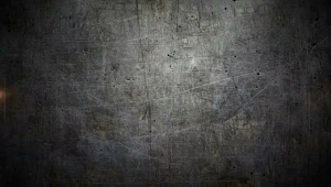 MINYAK KELABANG TOP Performa Burung Kicau