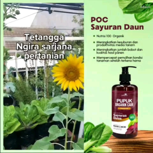 KASFARM PUPUK ORGANIK CAIR SAYUR / KOMPOS POC 500ML