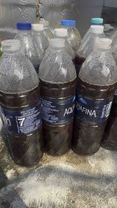 หัวเชื้อจุลินทรีย์EM เข้มข้น 1.5 ลิตร 4 ขวดใหญ่ เกษตร สวน ปรับสภาพน้ำ อามิ น้ำเขียว จุลินทรีย์สังเคราะห์แสง ต้นไม้ พลั่ว