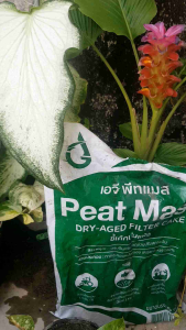 peat mass ฟื้นฟูสภาพดิน อิยทรีย์วัตถุสูง จากขี้เค็กบ่มแห้ง อิยทรีย์วัตถุสูง คือ - Lazada