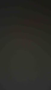 Kayla kids - Setelan Baju Kaos katun gambar excapator untuk anak laki-laki usia 1-8 tahun bisa untuk kado parsel