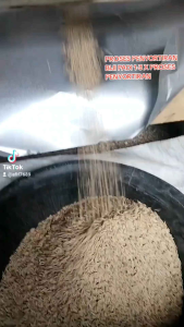 Benih padi unggul UB 2 BATUTA ASLI ACEH BIJI PADI DI SORTIR 90% BERKUALITAS Kemasan 5 Kg