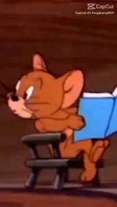 Viên Diệt Chuột Hiệu Quả Dethmor hộp 4 vỉ Nhật Bản