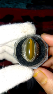 Luster Giwang Kinclong: Desain Elegan & Cat Eye Alpaka