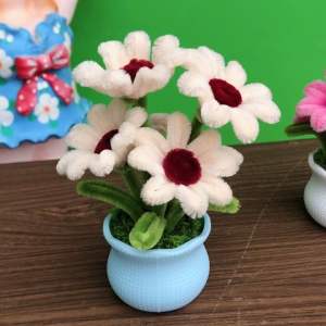 ดอกทานตะวันจิ๋ว&ดอกเดซี่