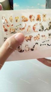 PET tape roll sticker 21