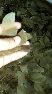 Krupuk ebi Home made