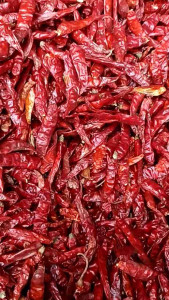 5 KG CABE KERING CAPLAK /CABE TEJA/CABE RAWIT SUPER PEDAS KWALITAS SUPER TANPA CAMPURAN
